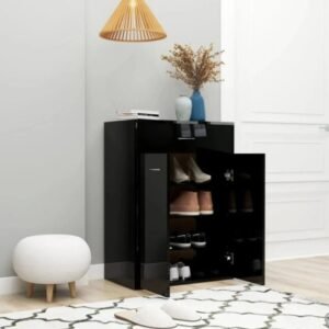 modern shoe storage cabinet rack